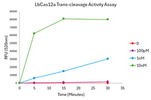 Load image into Gallery viewer, LbCas12a Protein