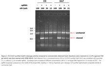 Load image into Gallery viewer, CRISPR-Cas9 Protein