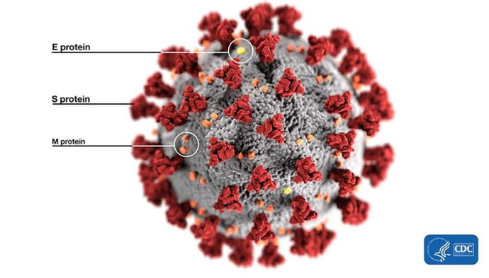 TriAltus Bioscience Protein Purification Technology Supports Providence Cancer Institute COVID-19 Vaccine Development
