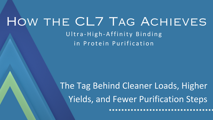 How the CL7 Tag Achieves Ultra-High-Affinity Binding in Protein Purification