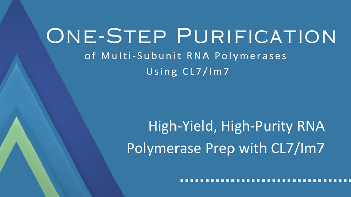 One-Step Purification of Multi-Subunit RNA Polymerases Using CL7/Im7