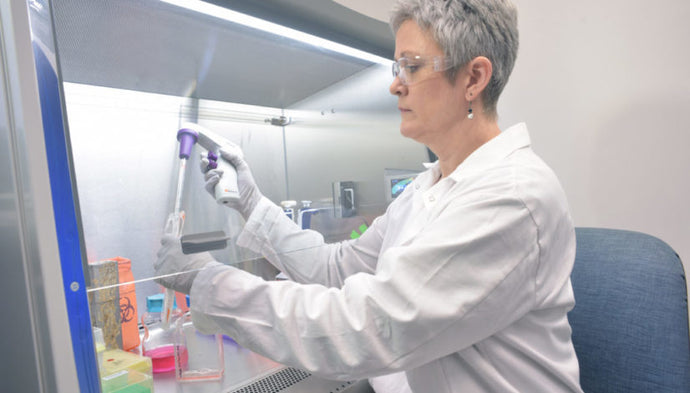 Multi-Tagged Vectors