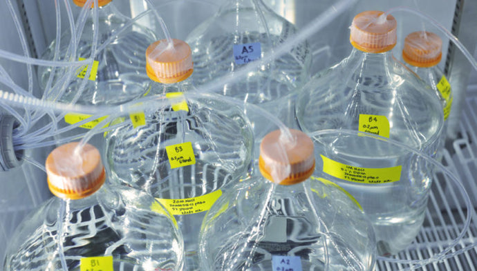 Purifying Proteins in Denaturing Conditions