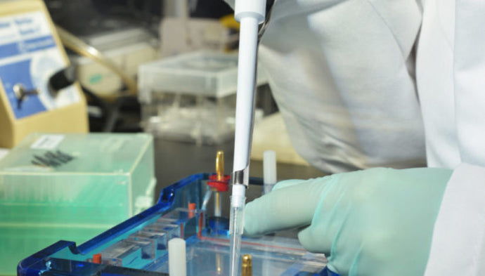 pH and Protein Purification