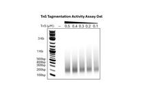Load image into Gallery viewer, Tn5 Tagmentation Activity Assay Gel
