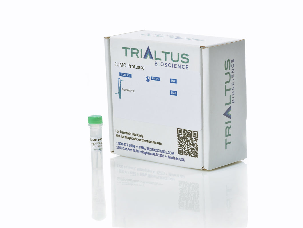 SUMO Protease