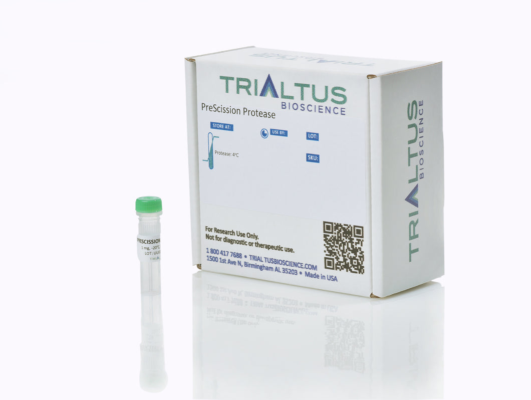 PreScission Protease